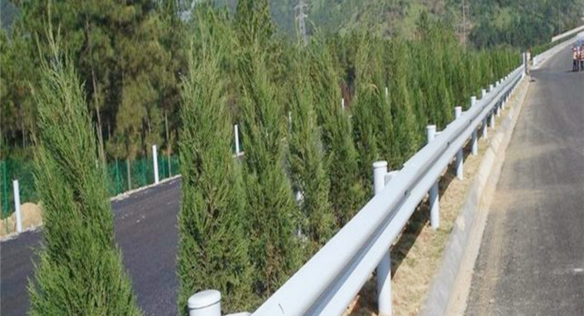 波形護(hù)欄板、鄉(xiāng)村道路護(hù)欄、單波護(hù)欄板世騰加工定制